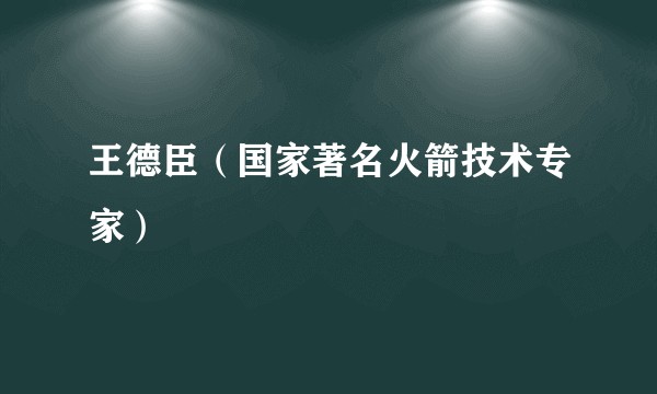 王德臣（国家著名火箭技术专家）
