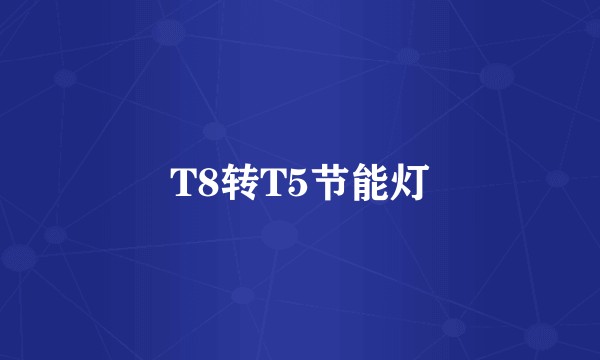 T8转T5节能灯