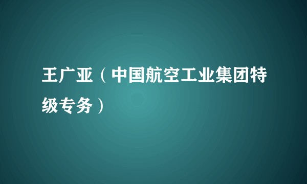 王广亚（中国航空工业集团特级专务）