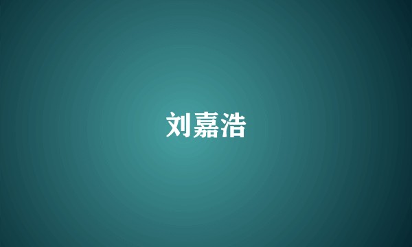 刘嘉浩
