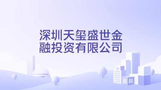 深圳天玺盛世金融投资有限公司