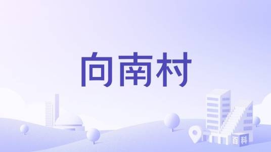 向南村（广东省深圳市龙华区民治街道民强社区下辖村）