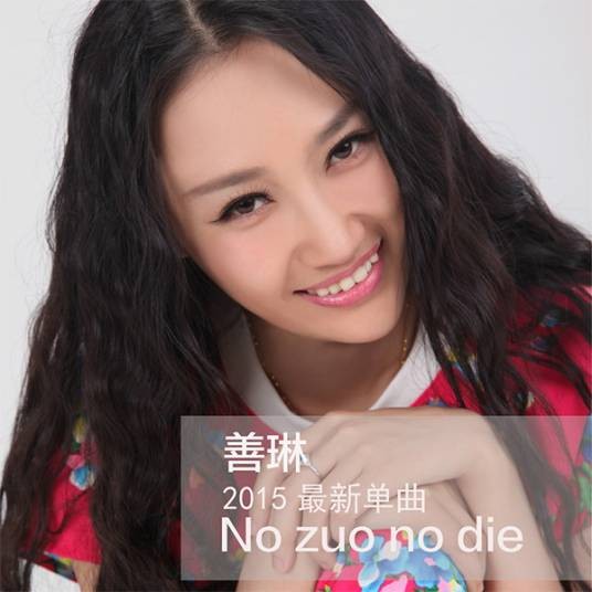 no zuo no die（善琳演唱歌曲）
