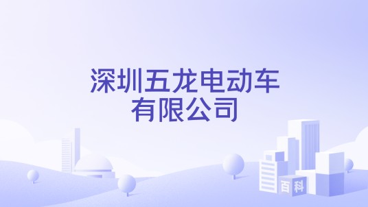 深圳五龙电动车有限公司