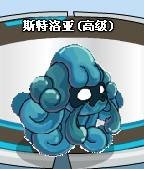 斯特洛亚