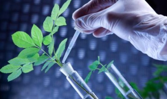 生物医药产业（生物技术产业与医药产业）