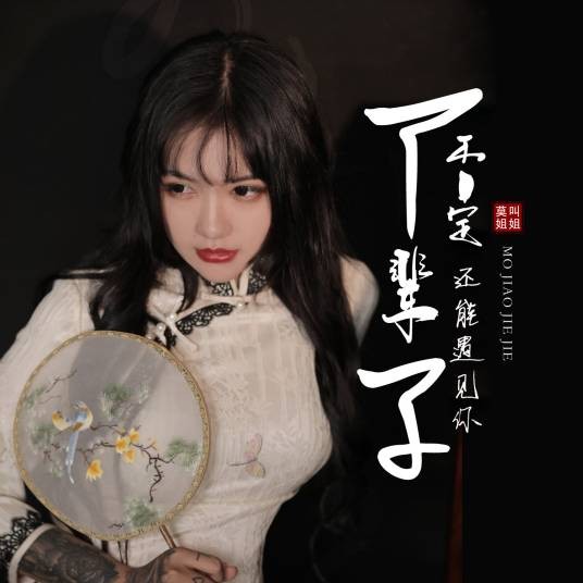 下辈子不一定还能遇见你（莫叫姐姐演唱的歌曲）