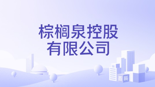 棕榈泉控股有限公司