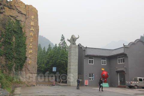 牛头山森林公园