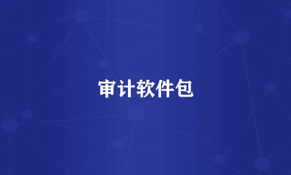 审计软件包