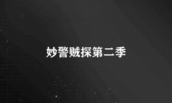 妙警贼探第二季