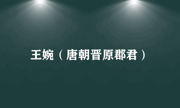 王婉（唐朝晋原郡君）