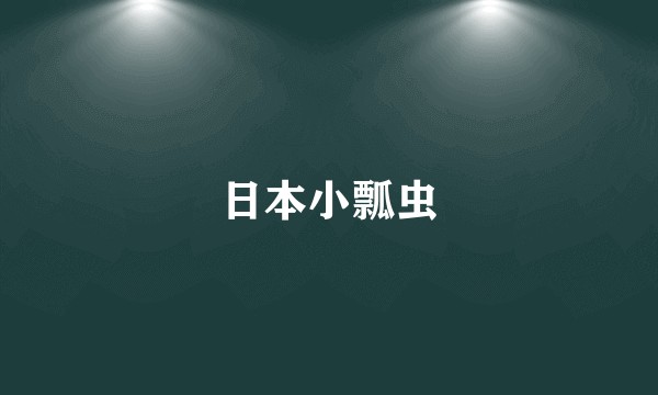日本小瓢虫