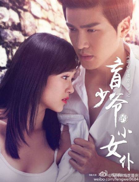 盲少爷的小女仆（2016年褚会林执导的电影）