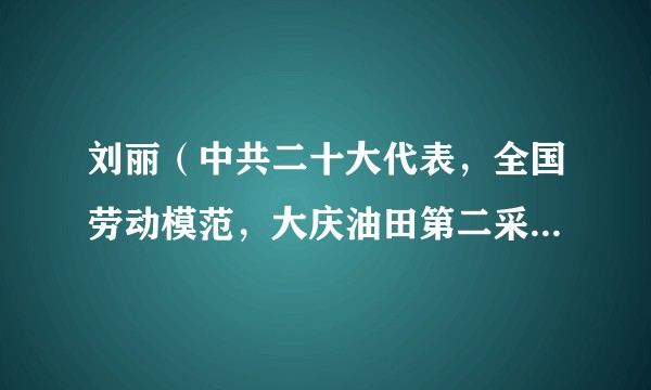 刘丽（中共二十大代表，全国劳动模范，大庆油田第二采油厂第六作业区采油48队采油工班长）