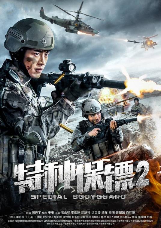 特种保镖2
