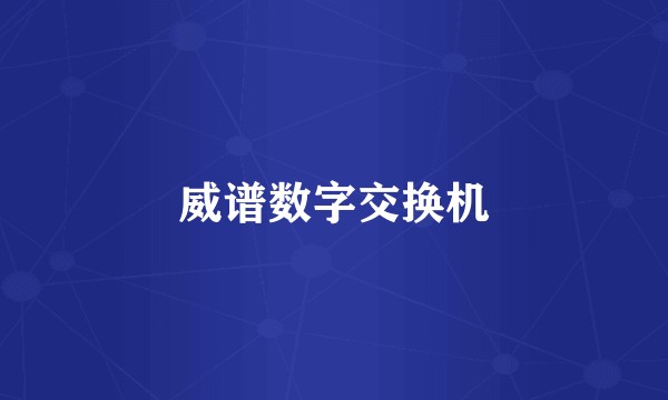 威谱数字交换机