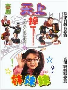天上掉下个林妹妹(2010年赵小鸥、赵小溪执导的悬疑类电视剧)