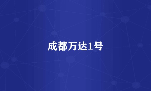 成都万达1号