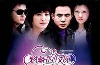 燃烧的玫瑰（2009年王建军执导的电视剧）