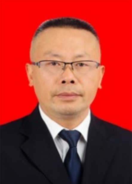 向斌（四川省绵阳市人民政府国防动员办公室原主任）
