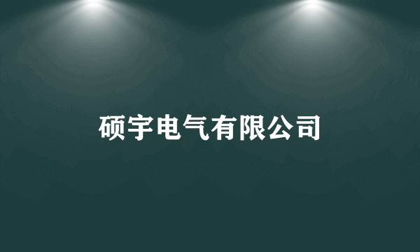 硕宇电气有限公司
