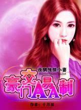 我的亲亲老婆：豪门隐婚aa制