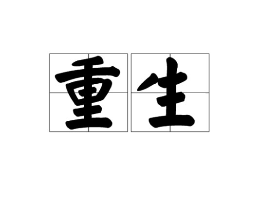 重生（网络小说术语）