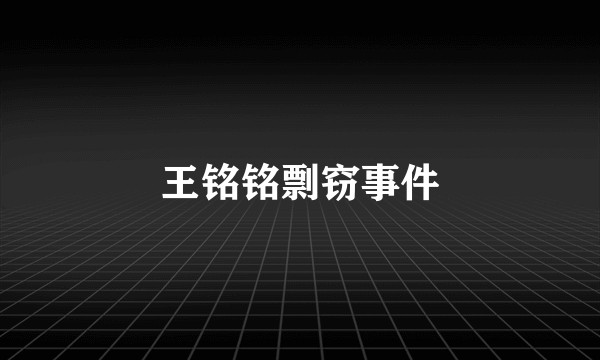 王铭铭剽窃事件