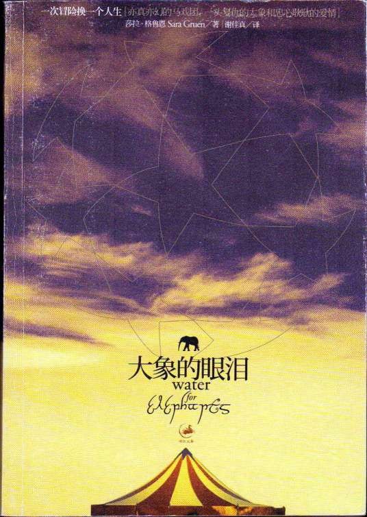 大象的眼泪（莎拉·格鲁恩著长篇小说）