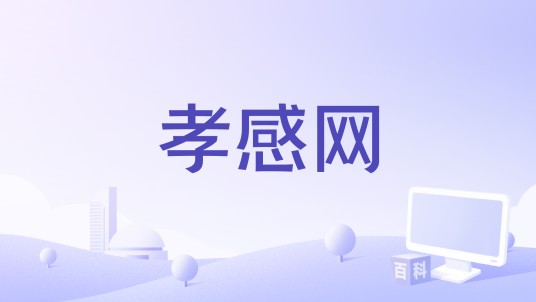 孝感网