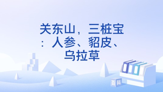 关东山，三桩宝：人参、貂皮、乌拉草