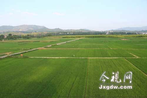 农村土地整治工程