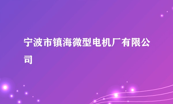宁波市镇海微型电机厂有限公司