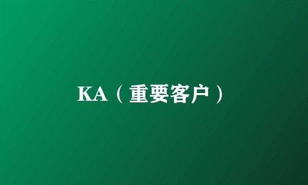 KA（重要客户）