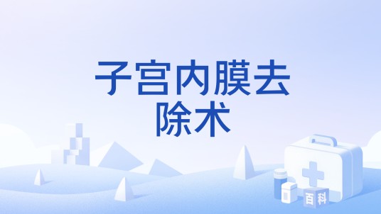 子宫内膜去除术