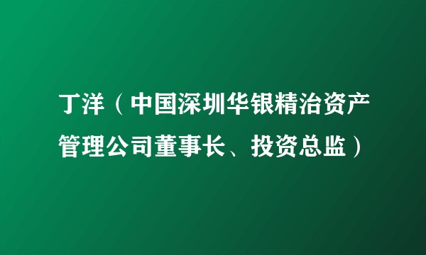 丁洋（中国深圳华银精治资产管理公司董事长、投资总监）