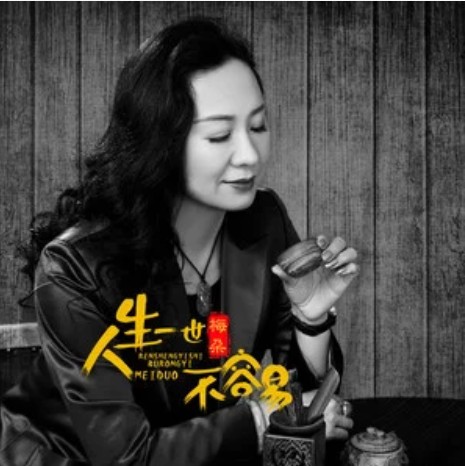 人生一世不容易(梅朵2018年演唱的歌曲)