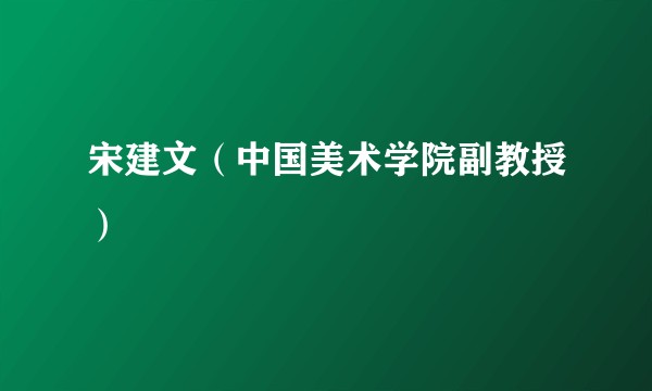 宋建文（中国美术学院副教授）