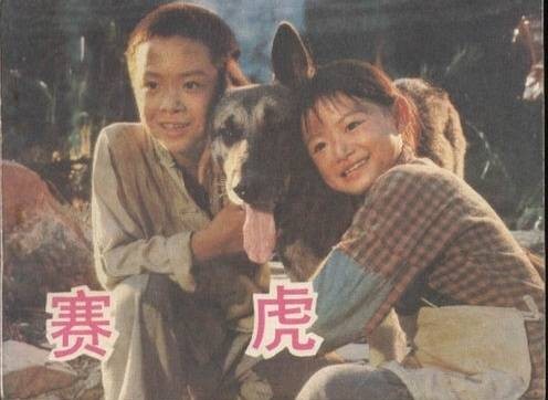 赛虎（1982年华永庄、罗真执导的剧情电影）