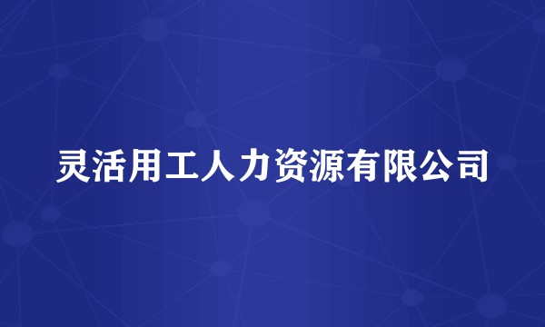 灵活用工人力资源有限公司