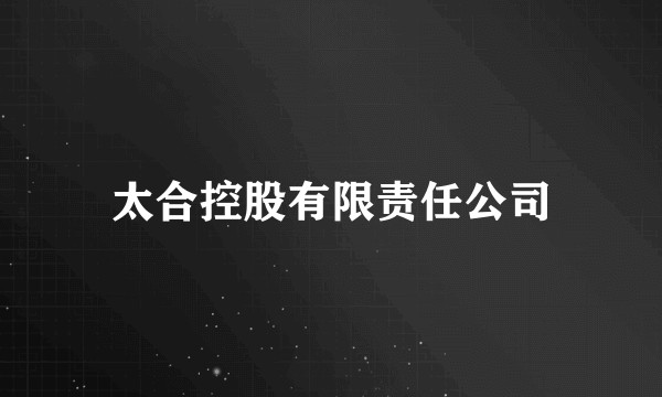 太合控股有限责任公司