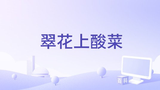 翠花上酸菜（世纪百年影业（天津）有限公司出品的喜剧、反恐类电影）