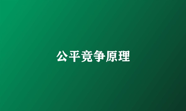 公平竞争原理