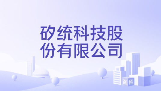 矽统科技股份有限公司