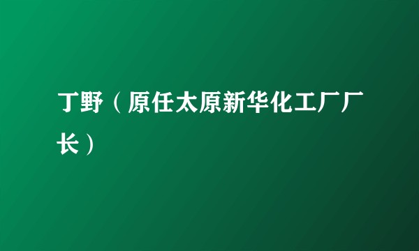 丁野（原任太原新华化工厂厂长）