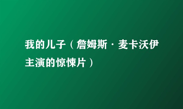 我的儿子（詹姆斯·麦卡沃伊主演的惊悚片）