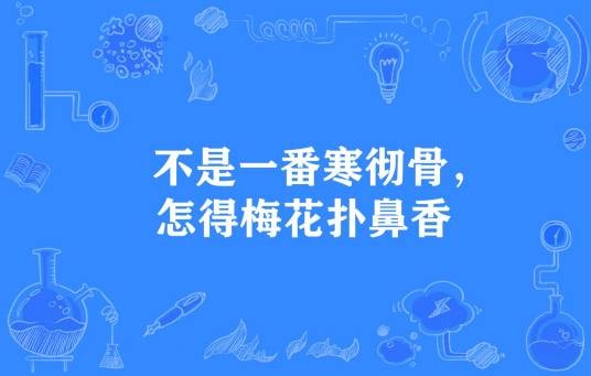 不是一番寒彻骨，怎得梅花扑鼻香