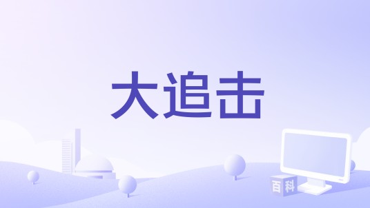 大追击（1973年林权泽执导的电影）