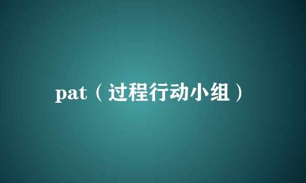 pat（过程行动小组）